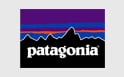 Camisetas técnicas Patagonia